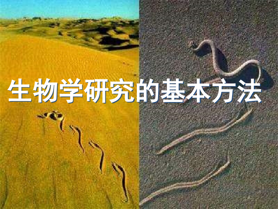 北师大版生物学研究的基本方法培训 优质ppt课件_第1页