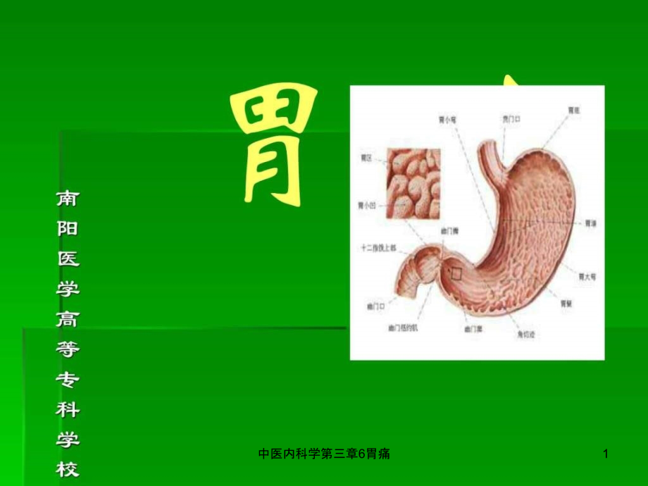 中医内科学第三章6胃痛ppt课件_第1页