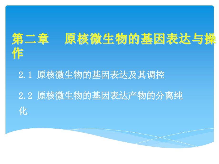 原核基因表达及其调控概要课件_第1页