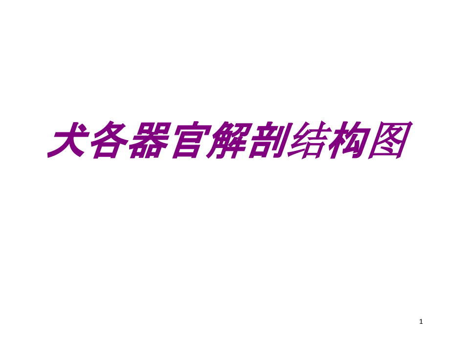 医学犬各器官解剖结构图培训 培训ppt课件_第1页