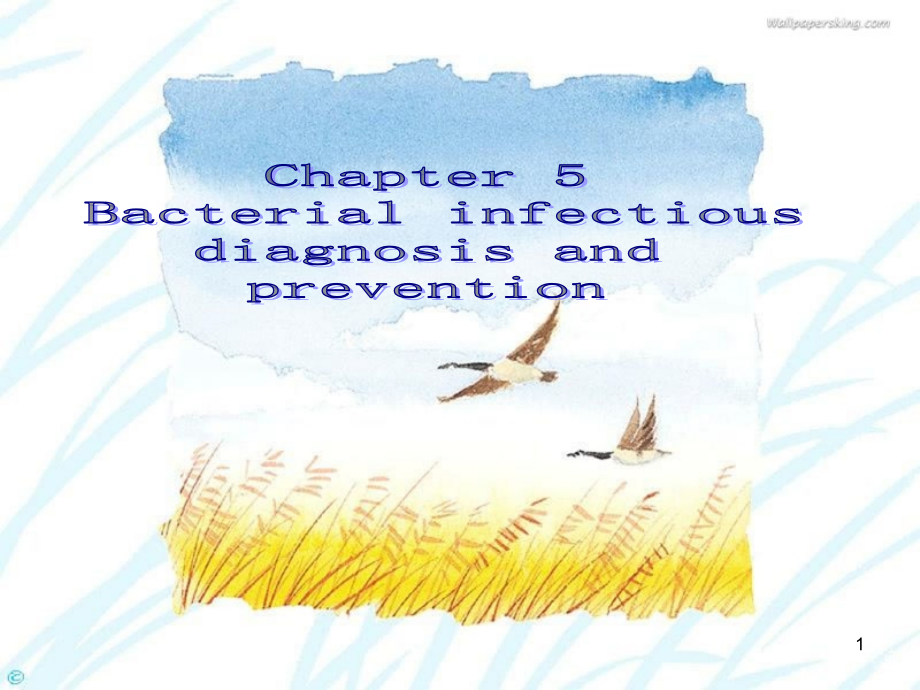 5章细菌感染的检查与防治课件_第1页