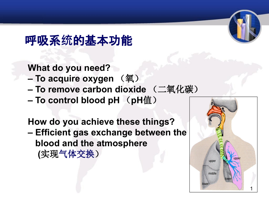 呼吸系统疾病的病理生理学课件_第1页