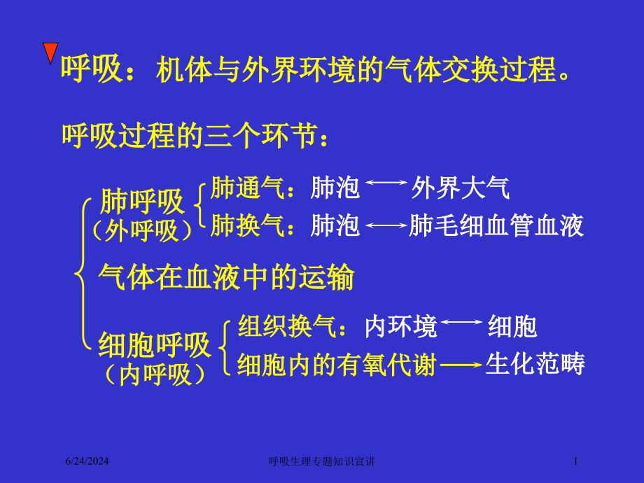 呼吸生理专题知识宣讲培训ppt课件_第1页