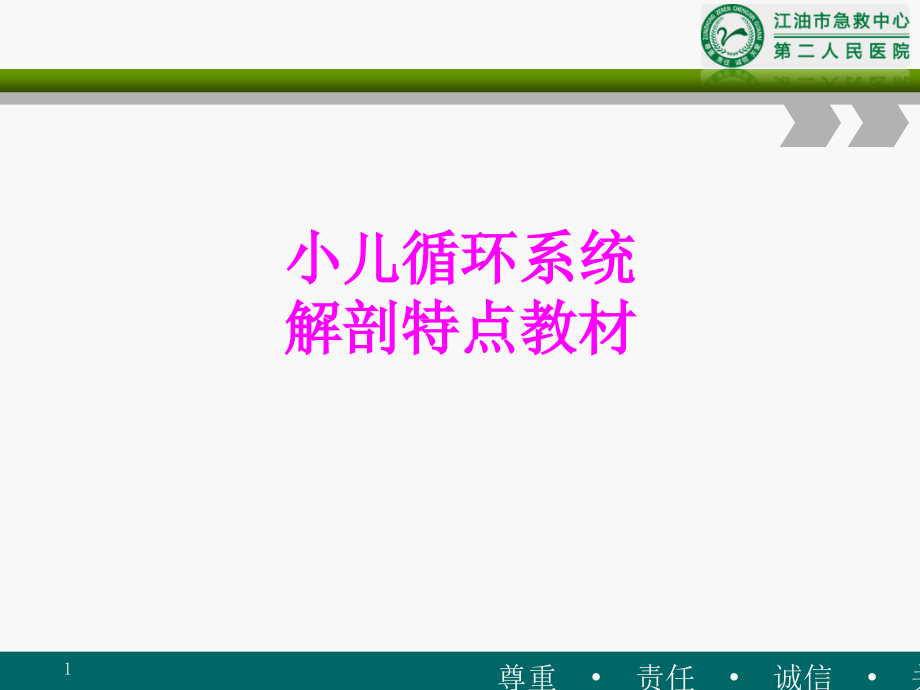 医学小儿循环系统解剖特点教材培训 培训ppt课件_第1页