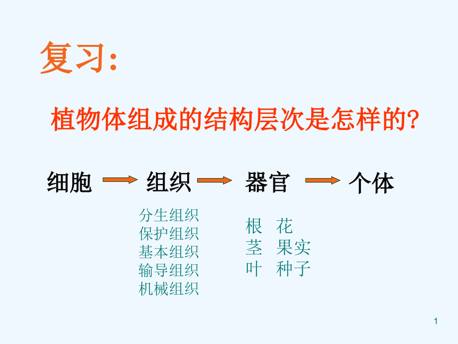 人体的组成1公开课ppt课件_第1页