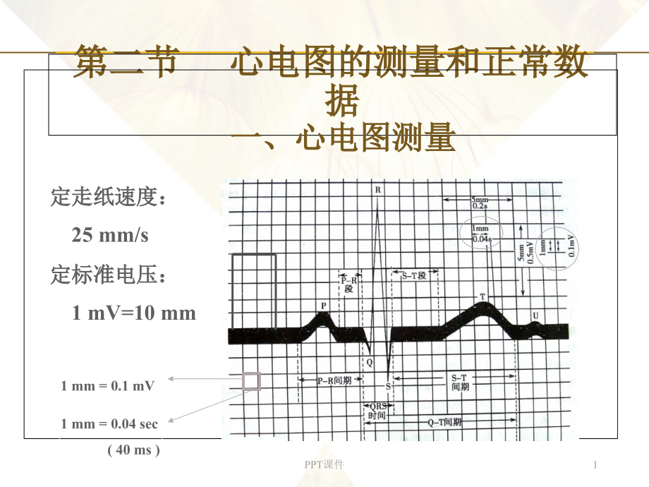 心电图--教学讲解课件_第1页