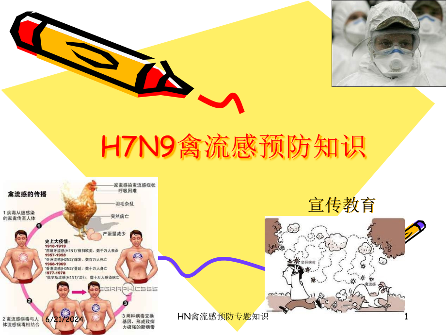 HN禽流感预防专题知识课件_第1页