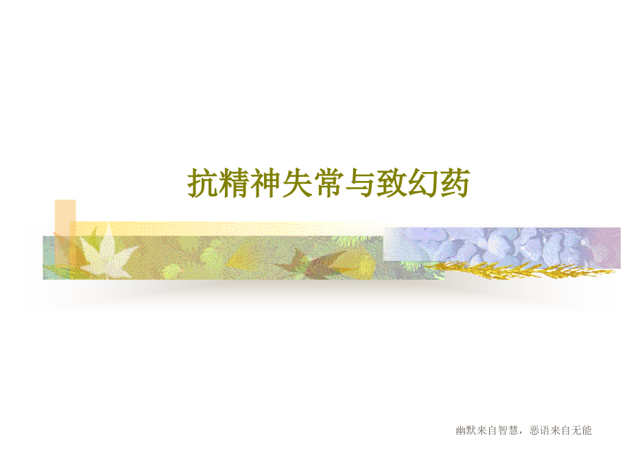 抗精神失常与致幻药课件2_第1页