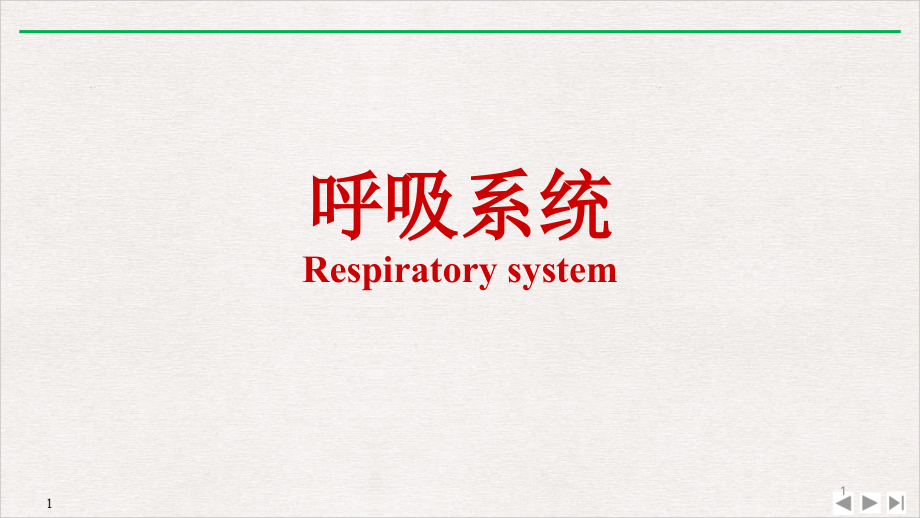 呼吸系统培训 标准ppt课件_第1页