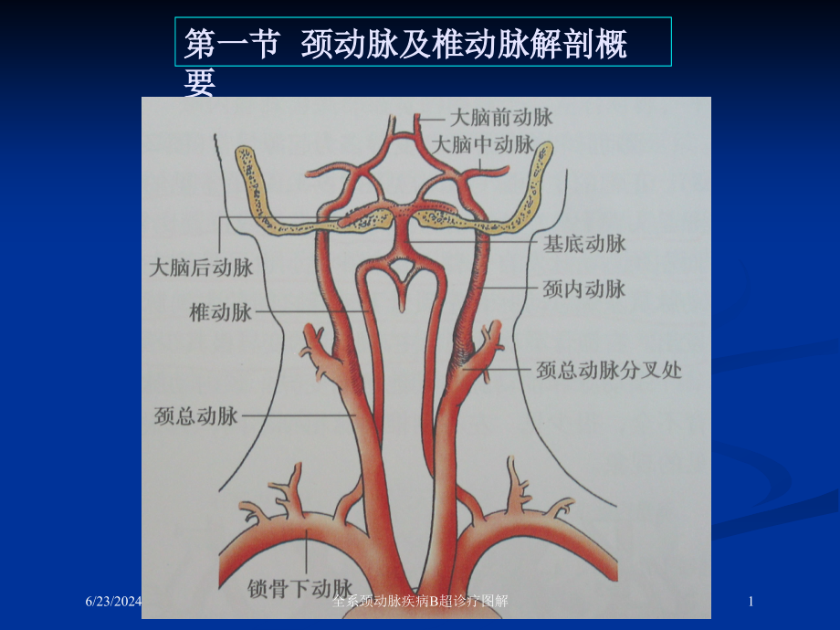 全系颈动脉疾病B超诊疗图解培训ppt课件_第1页