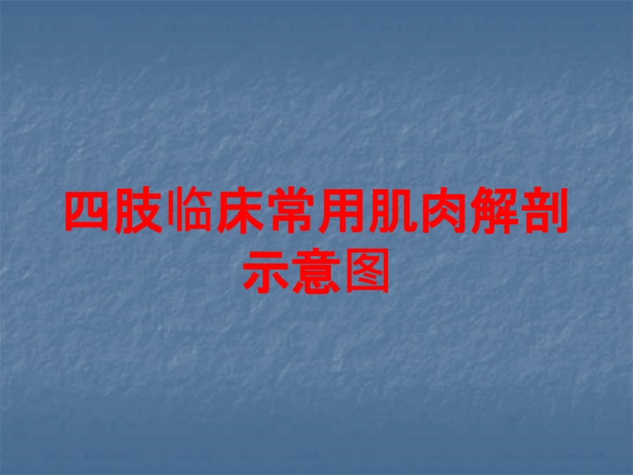 四肢临床常用肌肉解剖示意图培训ppt课件_第1页