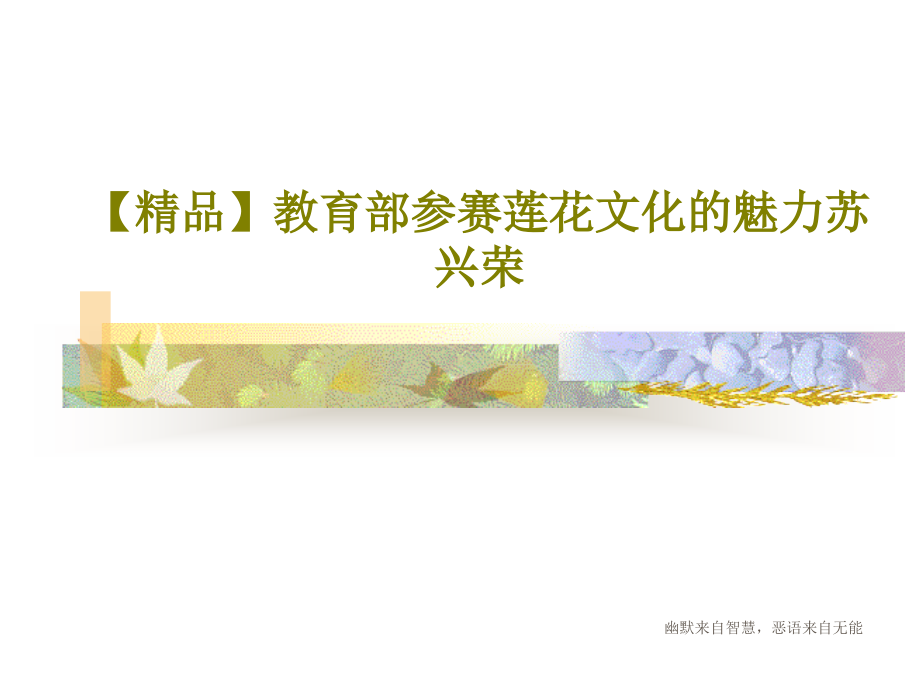 教育部参赛莲花文化的魅力苏兴荣教学课件_第1页