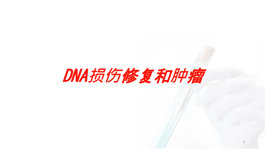 DNA损伤修复和肿瘤培训ppt课件_第1页