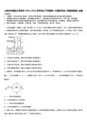 上海市外国语大学附中2022-2023学年高三下学期第一次模拟考试（物理试题理）试题