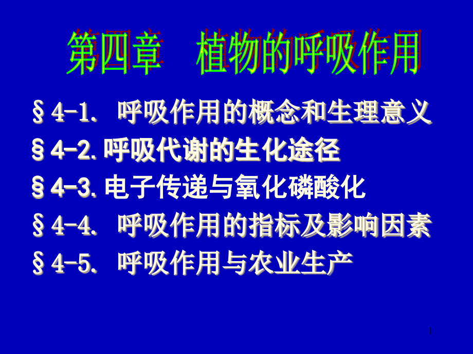 呼吸作用的概念和生理意义课件_第1页