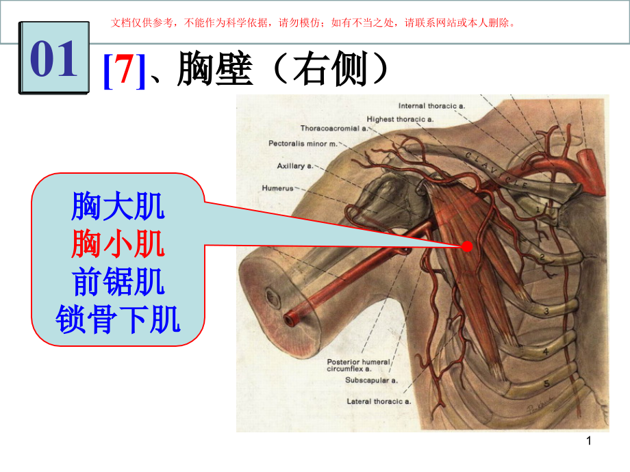 医学局解实验图片培训ppt课件_第1页