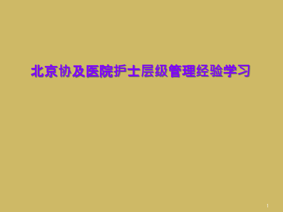 医院护士层级管理经验学习课件_第1页