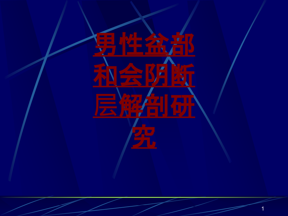 医学男性盆部和会阴断层解剖研究培训 培训ppt课件_第1页