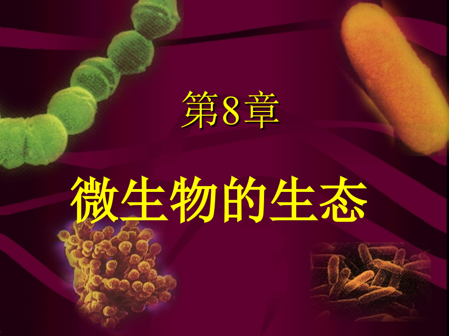 微生物学课件_第1页