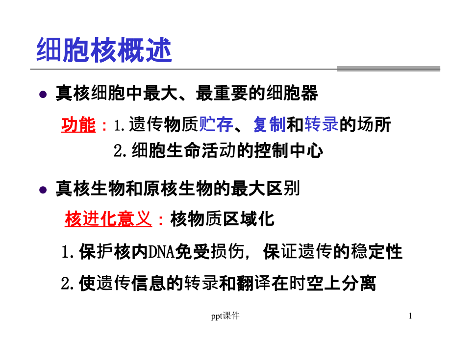 医学细胞生物学细胞核课件_第1页