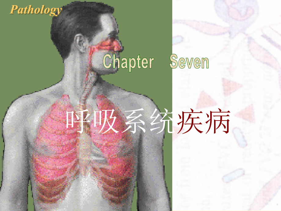 呼吸系统培训 医学ppt课件_第1页