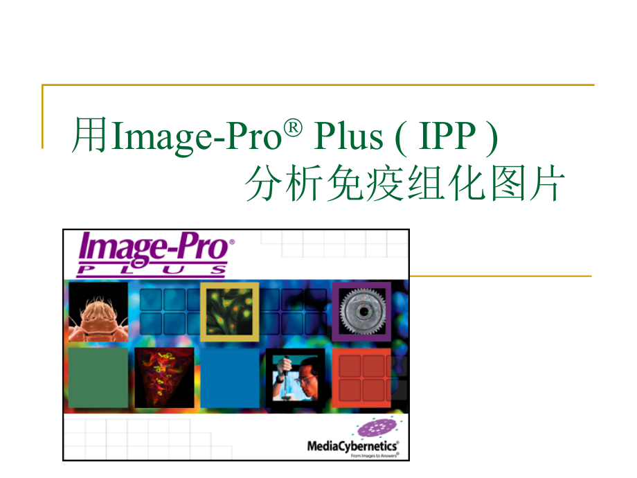 用Imagerolus分析免疫组化图片课件_第1页