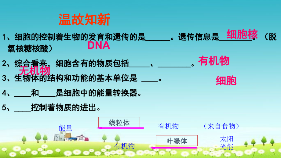 新人教版七年级生物上册第二单元第二章第一节节细胞通过分裂产生新细胞课件_第1页