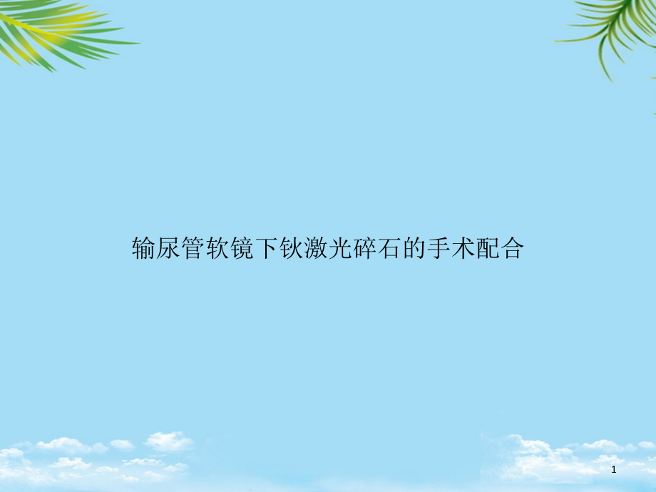 输尿管软镜下钬激光碎石的手术配合课件_第1页