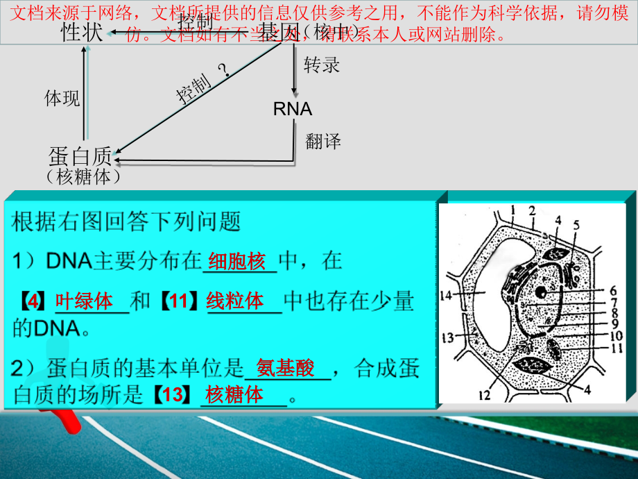 最新基因指导建议建议蛋白质的合成专业知识讲座课件_第1页