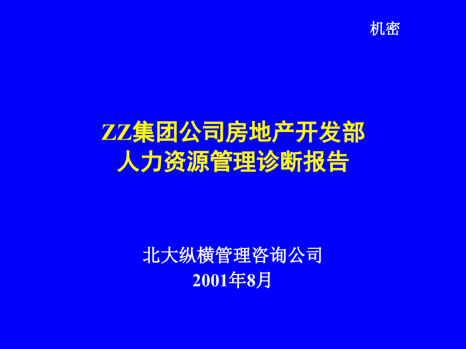 某某房地产开发部人力资源管理诊断报告课件_第1页