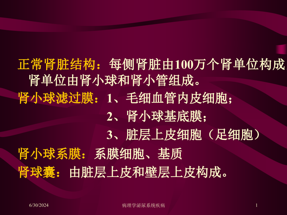 病理学泌尿系统疾病培训ppt课件_第1页