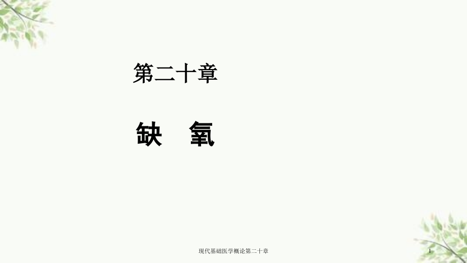 现代基础医学概论第二十章ppt课件_第1页