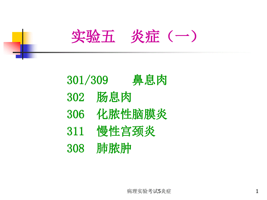 病理实验考试5炎症ppt课件_第1页