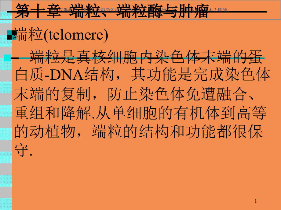 端粒端粒酶和肿瘤ppt课件_第1页