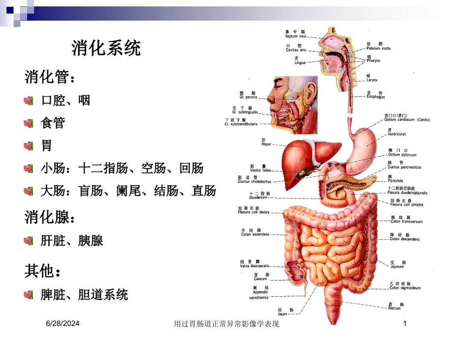 用过胃肠道正常异常影像学表现培训ppt课件_第1页