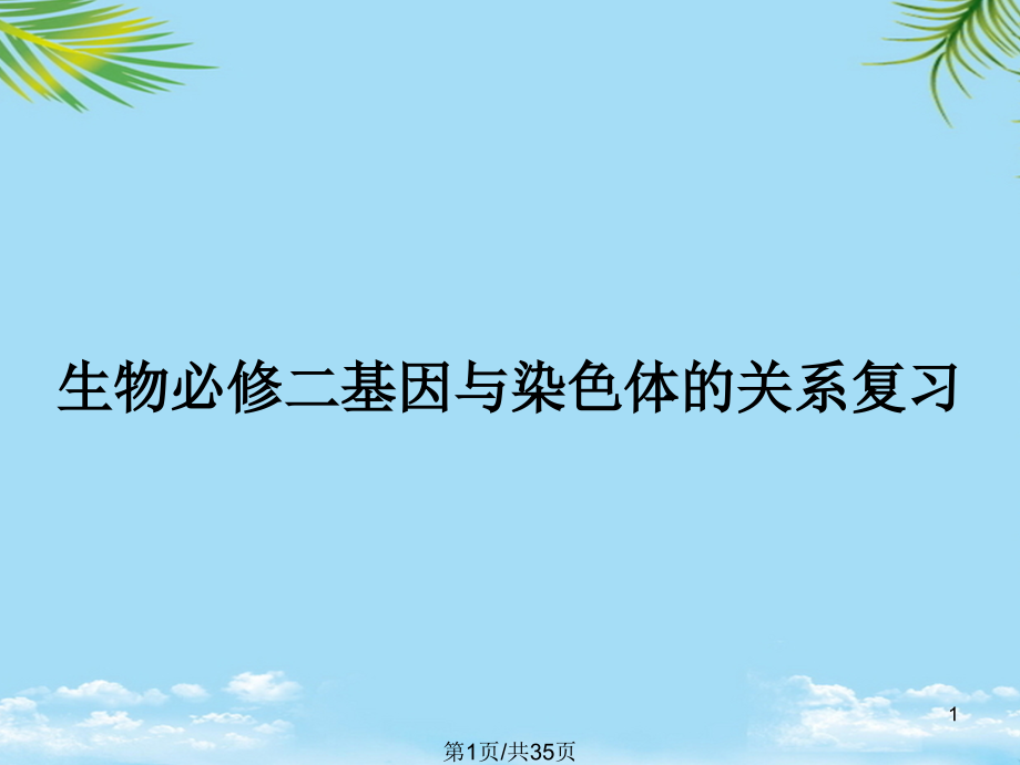 生物必修二基因与染色体的关系复习全面版课件_第1页