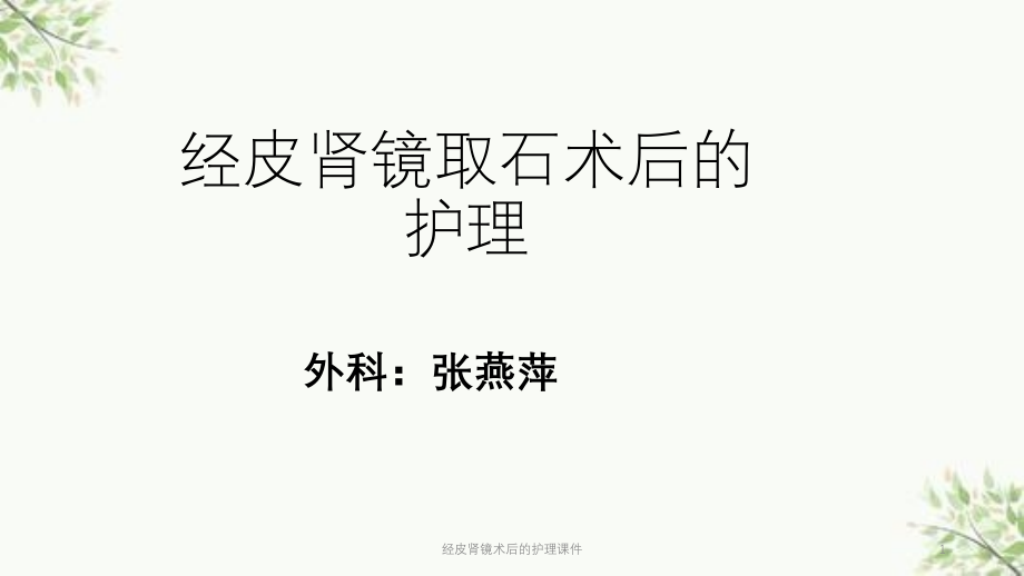 经皮肾镜术后的护理ppt课件_第1页