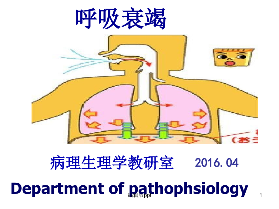 病理生理学呼吸衰竭课件_第1页