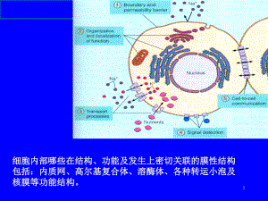 細(xì)胞的內(nèi)膜系統(tǒng)醫(yī)學(xué)知識(shí)課件