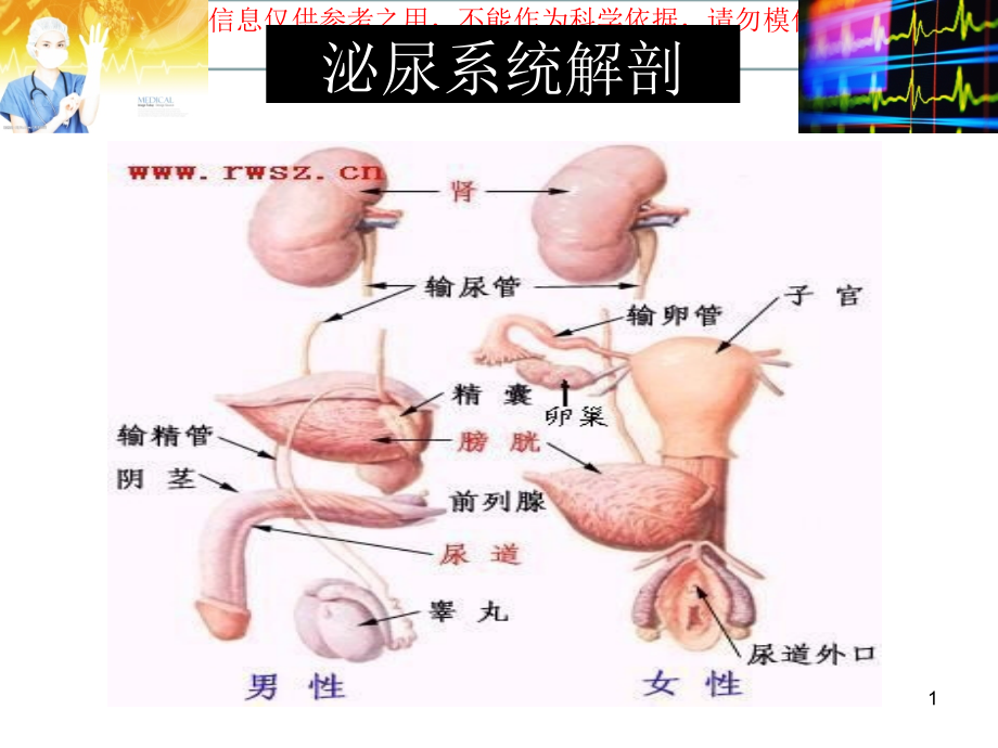 泌尿外科微创手术常规配合-培训ppt课件_第1页