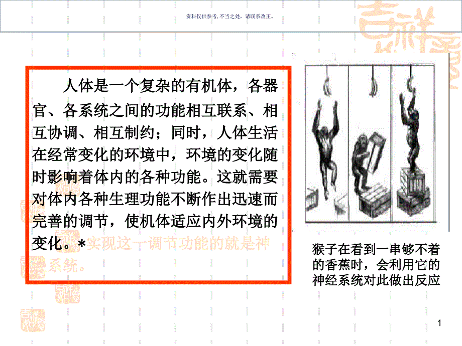 神经系统主题医学知识课件_第1页