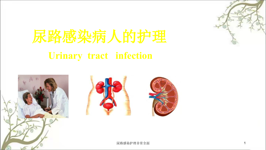 尿路感染护理非常全面ppt课件_第1页