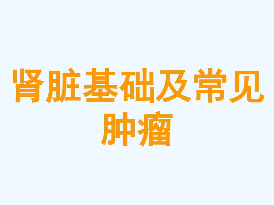 组织学与胚胎学ppt课件——泌尿系统_第1页