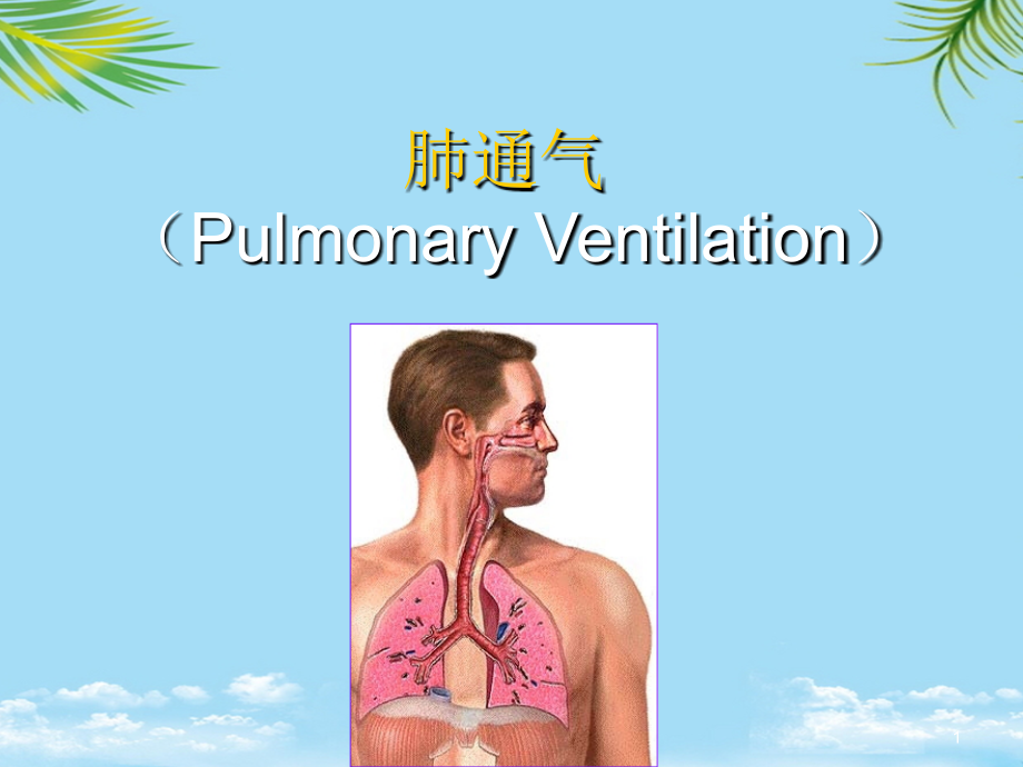 本科呼吸生理全面资料课件_第1页