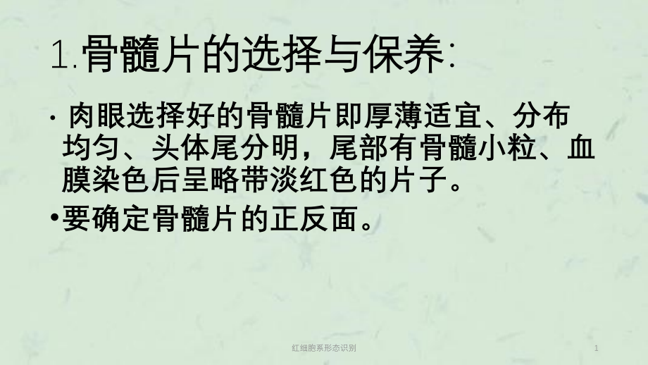 红细胞系形态识别ppt课件_第1页