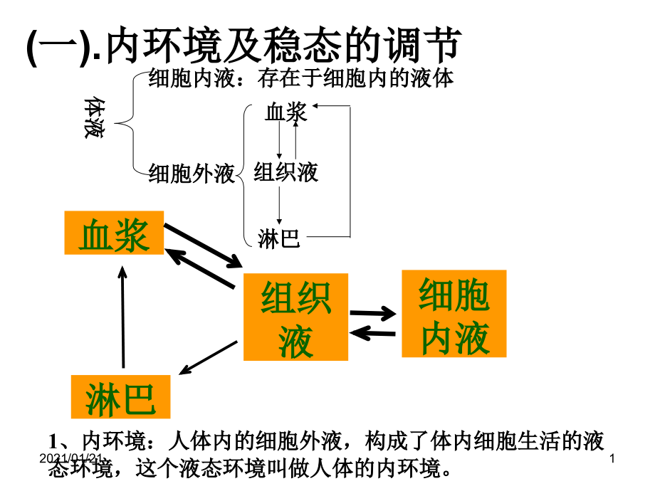 稳态与免疫教学课件_第1页