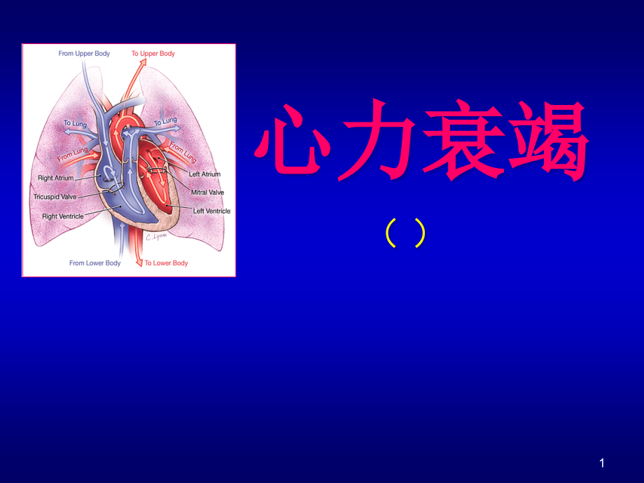 心力衰竭ppt课件(经典)_第1页