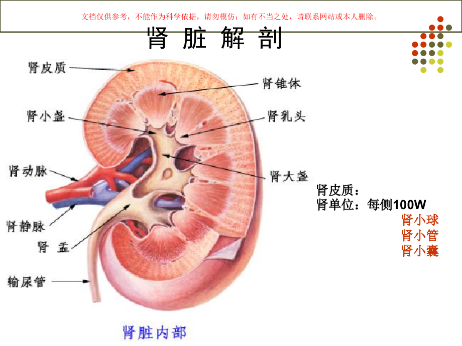 核医学肾显像和功能测定培训ppt课件_第1页