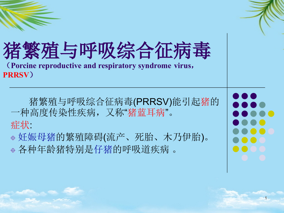 猪繁殖与呼吸综合征病毒课件_第1页