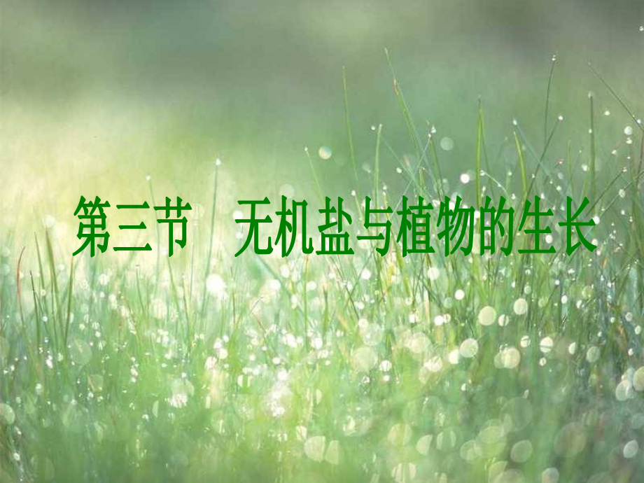 无机盐与植物的生长课件_第1页